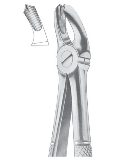 Fig. 18A upper molars 